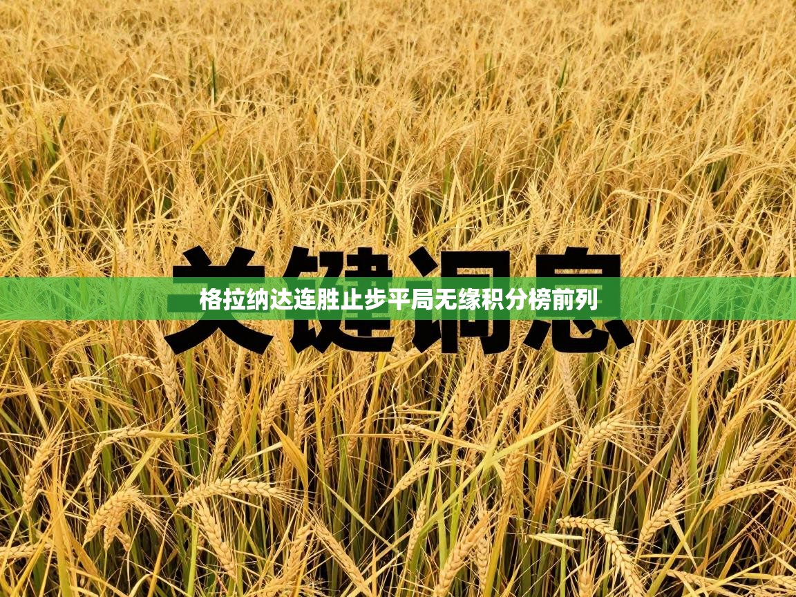 格拉纳达连胜止步平局无缘积分榜前列  第2张